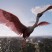 《荒野大镖客2》高清材质包 改善鸟类和爬行动物画质